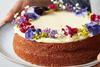 HoneyCake-web_VeerleEvens04_article_image.jpg