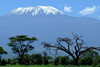 Kilimanjaro-main_article_image.png