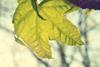 QXfu1lytTtS4wkIVuiOb_DSC_0147_article_image.jpg