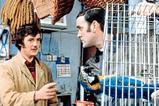 Dead parrot