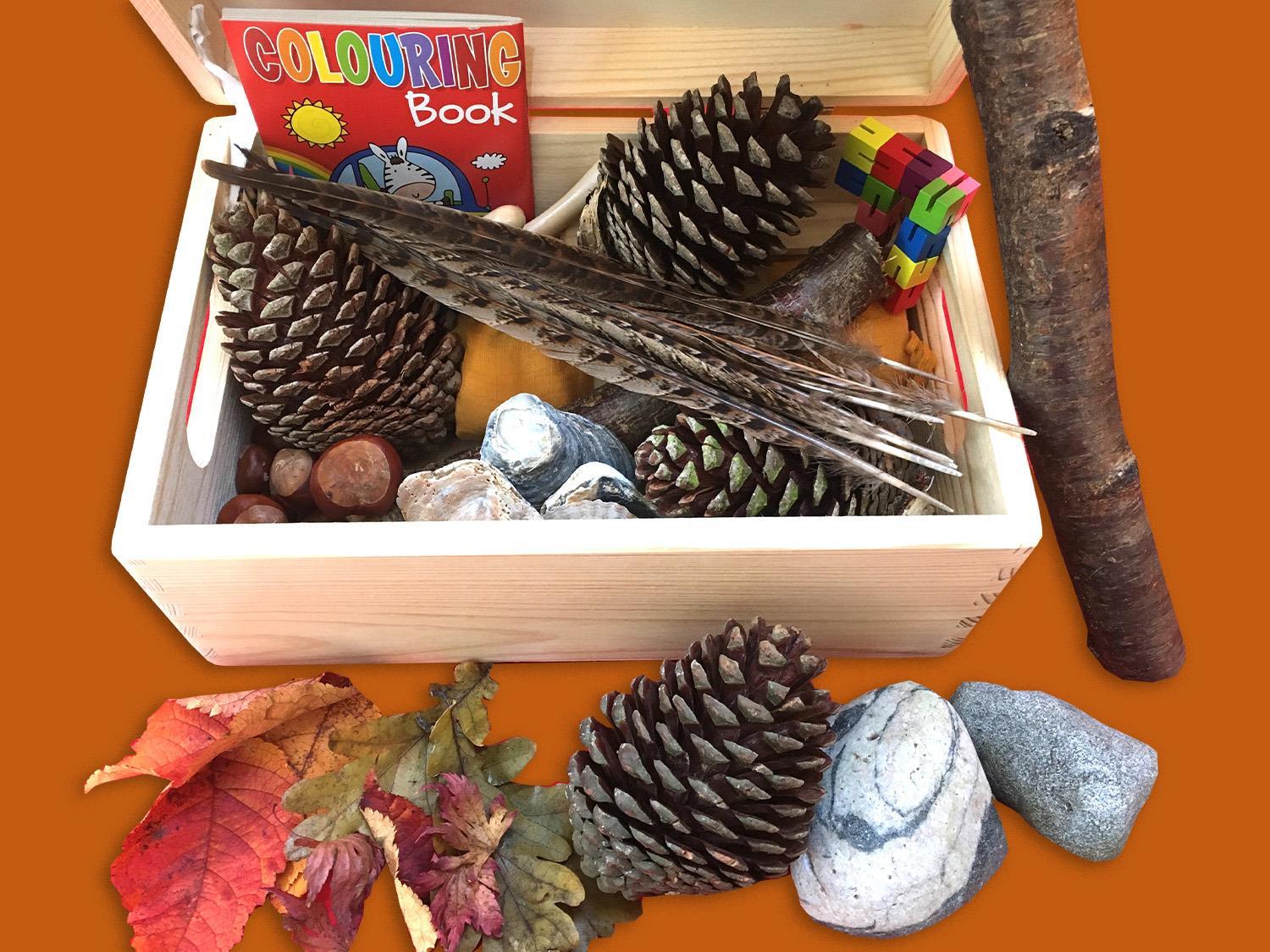 Diy Fall Fidgets Make an autumn natural ‘fidget box’ for your group | Article | NexGen
