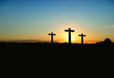 pexels-pixabay-70847