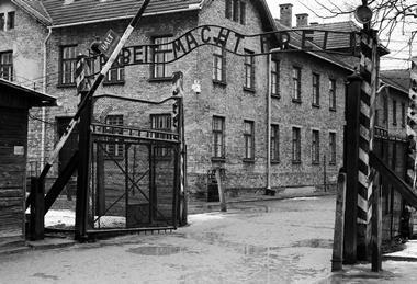 pexels-algrey-22816213