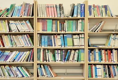 pexels-mographe-30752163