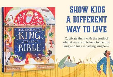 78c56e82-c3ff-43da-8970-35fba20d1f1d.__CR0,0,4042,2500_PT0_SX970_V1___