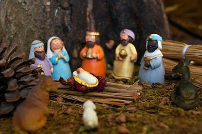 pexels-jimmy-6007019