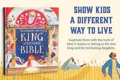 78c56e82-c3ff-43da-8970-35fba20d1f1d.__CR0,0,4042,2500_PT0_SX970_V1___