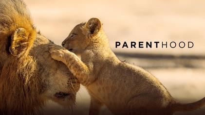 BBC_Parenthood_TV_series_promotional_image