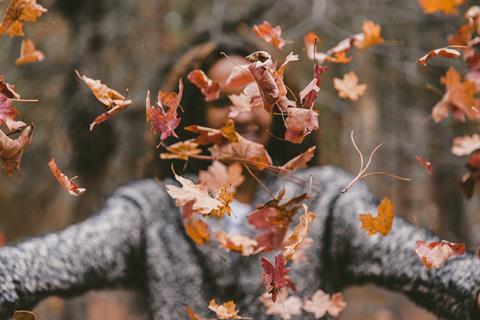 Autumn_v1