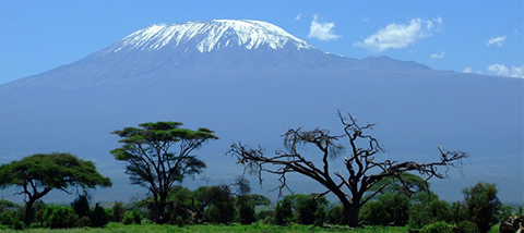 Kilimanjaro-main_article_image.png