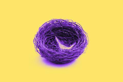 Empty_Nest_v1